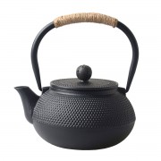 Cast Iron Teapot